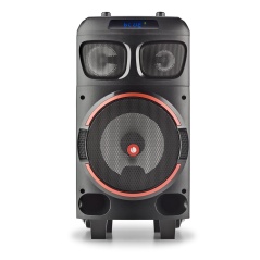 Altoparlante Bluetooth con Microfono Karaoke NGS WILD DUB ZERO Nero 120W