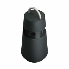 Portable Bluetooth Speakers LG RP4 120 W Black