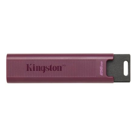 USB stick Kingston DTMAXA/256GB 256 GB