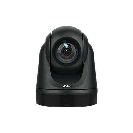 Webcam AVer DL30