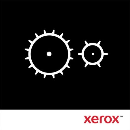 Fusore Rigenerato Xerox 013R00691