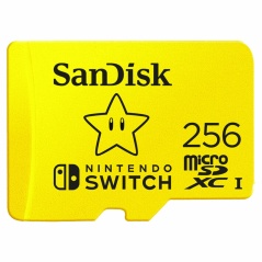 Scheda Di Memoria SD SanDisk SDSQXAO-256G-GNCZN 256GB