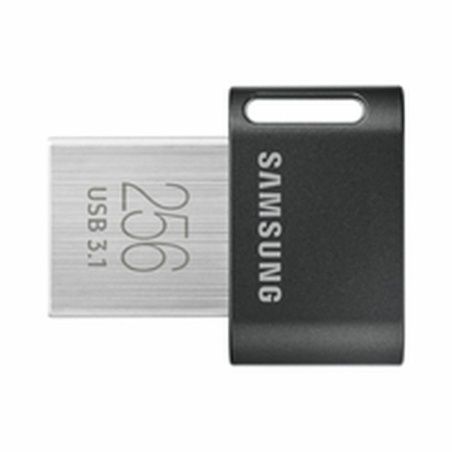 USB stick Samsung MUF-256AB/APC Black 256 GB