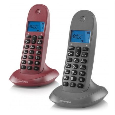 Telefono Senza Fili Motorola C1002 (2 pcs)