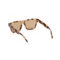 Occhiali da sole Uomo Web Eyewear WE0314-0041F