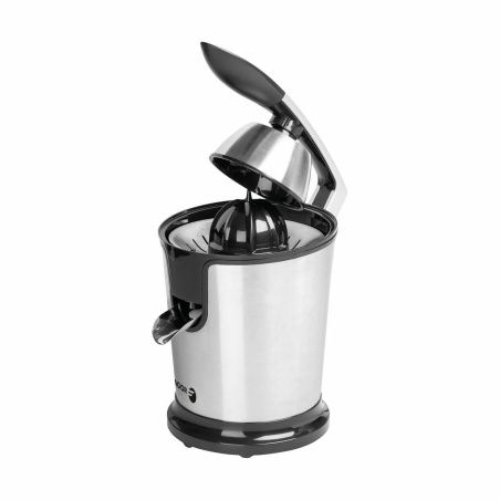 Electric Juicer FAGOR FGE618G Grey 300 W
