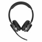 Headphones Targus AEH104GL Black