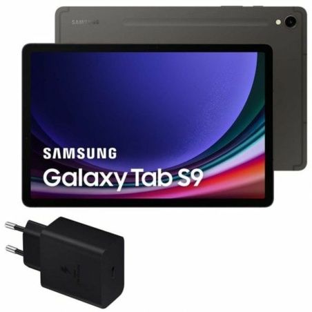 Tablet Samsung Galaxy Tab S9 11" 256 GB Grey