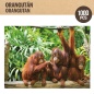Puzzle Colorbaby Orangutan 6 Units 68 x 50 x 0,1 cm