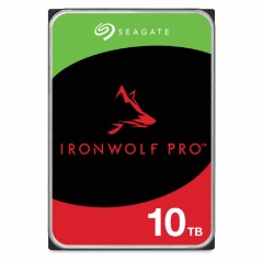 Hard Disk Seagate ST10000NT001 3,5" 10 TB