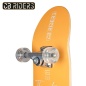 Skateboard Colorbaby (2 Units)