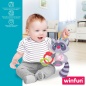 Rattle Cuddly Toy Winfun Racoon 14,5 x 20 x 9,5 cm (6 Units)