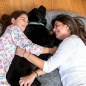 Letto Cani per Umani Human Dog Bed XXL InnovaGoods Grey