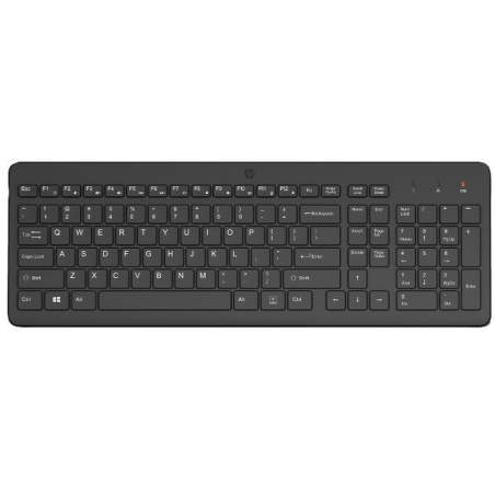 Keyboard and Mouse HP 805T1AAABE