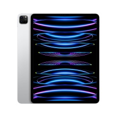 Tablet iPad Pro Apple MNXV3TY/A 8 GB RAM M2 Argentato Argento 512 GB