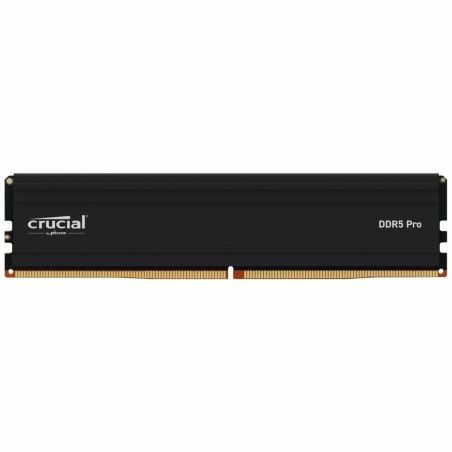 RAM Memory Crucial CP24G60C48U5