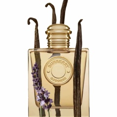 Profumo Donna Burberry BURBERRY GODDESS EDP EDP 50 ml