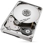 Hard Disk Seagate IronWolf 12 TB