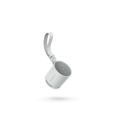 Portable Bluetooth Speakers Sony Grey