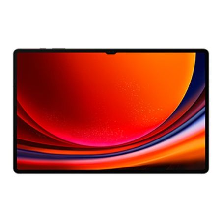 Tablet Samsung Galaxy Tab S9 12 GB RAM 14,6" 256 GB Grey