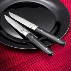 Meat Knife Set Amefa Fusion Bicoloured Metal 12 Units 22 x 1,8 x 1,2 cm