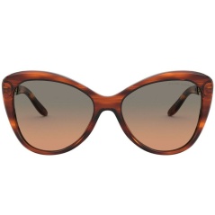 Ladies' Sunglasses Ralph Lauren RL8184-500718 ø 56 mm