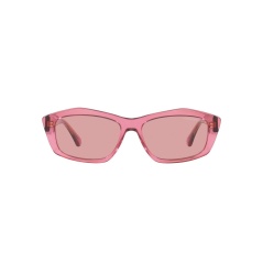 Ladies' Sunglasses Emporio Armani EA4187-554484 Ø 55 mm