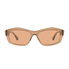 Ladies' Sunglasses Emporio Armani EA4187-506973 Ø 55 mm