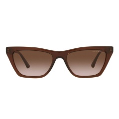 Ladies' Sunglasses Emporio Armani EA4169-591013 ø 54 mm