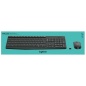 Keyboard and Wireless Mouse Logitech 920-007919 Grey Spanish Qwerty QWERTY