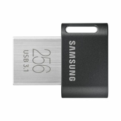 Memoria USB Samsung MUF-256AB/APC Argentato 256 GB