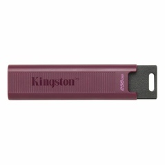 Memoria USB Kingston Max Rosso 256 GB 