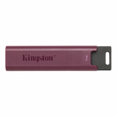 Memoria USB Kingston Max Rosso