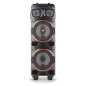 Bluetooth Speakers NGS WILD DUB 1 Black 300 W