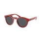 Men's Sunglasses Ralph Lauren PH4184-525787 Ø 49 mm