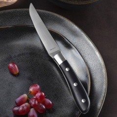 Meat Knife Set Amefa Achille Metal 23 x 2,4 x 1,5 cm 6 Units