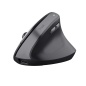 Mouse Trust 25371 Black 2400 dpi