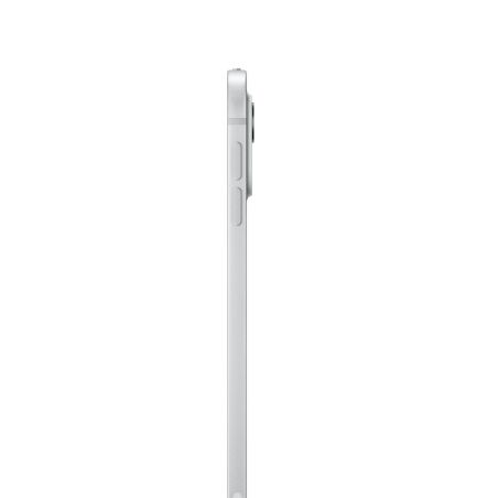Tablet Apple iPad Pro 11" 8 GB RAM 256 GB Argentato Acciaio