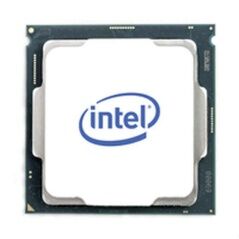 Processor Intel BX8070811700F 2.5 GHz 16 MB LGA1200 LGA 1200 LGA 1200
