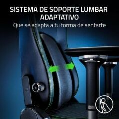 Gaming Chair Razer RZ38-04900100-R3G1 Black Green Black/Green