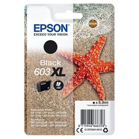 Original Ink Cartridge Epson S0225795 Black