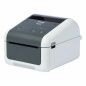 Stampante per Etichette Brother TD-4520DN 300 dpi LAN Bianco/Grigio (1 Unità)