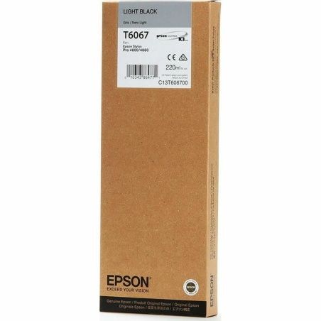 Original Ink Cartridge Epson C13T606700 Black