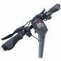 Electric Scooter Zwheel ZFox Max Urban Dark Black 400 W