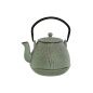 Teapot Home ESPRIT Black Green Stainless steel Iron 900 ml