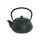 Teapot Home ESPRIT Black Green Stainless steel Iron 800 ml