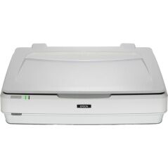 Scanner Epson Expression 13000XL