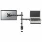 TV Mount Neomounts FPMA-D550NOTEBOOK 