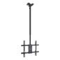 TV Ceiling Support TooQ LPCE1175TSLI-XL-B 32" 75" 60 Kg