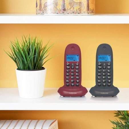 Wireless Phone Motorola C1002 LCD DECT